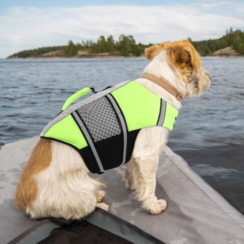 Queenmore Dog Life Vest for Swimming, Puppy Life Jacket for Small Dogs in Kuwait