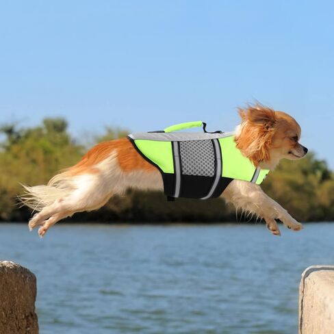 Queenmore Dog Life Vest for Swimming, Puppy Life Jacket for Small Dogs in Kuwait