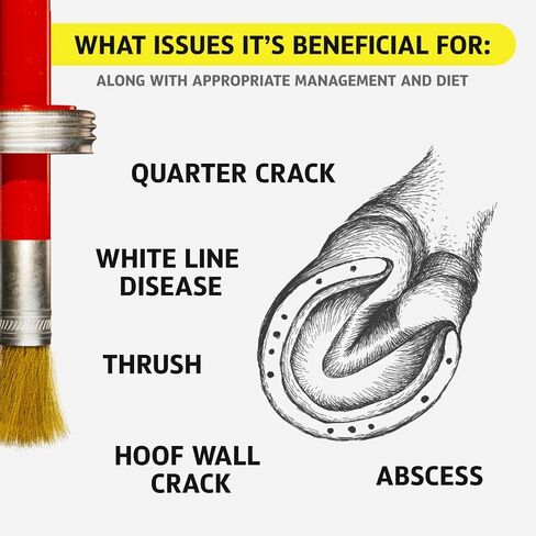 Mineral Medix Equine One Natural Hoof Dressing - 100% All-Natural Hoof Care Product - Abscesses || Thrush || White Line || Quarter Crack, 280 Day Supply, 1 Gallon in Saudi Arabia