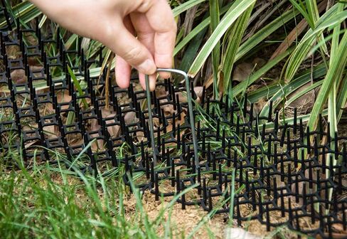 Oceanpax 12 Pack 8.5 X 6.5 Inch Square Cat Scat Mats for Cats with Spikes, Prickle Strips from Digging Cat Deterrent Outdoor Include 6 Staples and 6 Zip Ties in Saudi Arabia