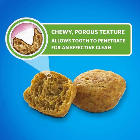 DentaLife Purina Made in USA Facilities Cat Dental Treats, Tasty Chicken Flavor - 19 oz. Canister in Saudi Arabia