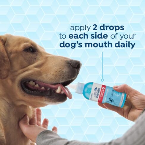 Fresh Breath Certified Wellness Collection Vet Strength Oral Care Clean Teeth Gel, 4oz - Freshens Dog Breath - Removes Plaque & Tartar - Cleans Teeth - Dog Dental Care - No Brushing Required in Saudi Arabia