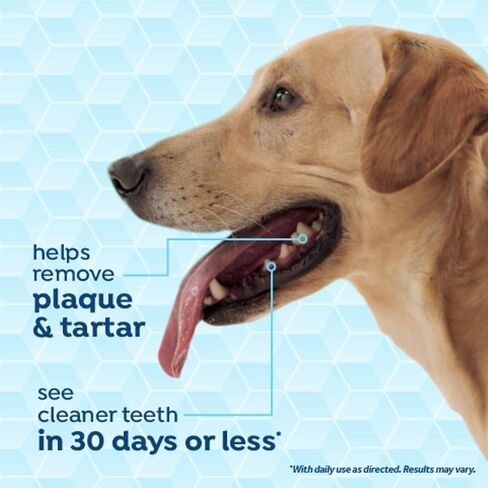 Fresh Breath Certified Wellness Collection Vet Strength Oral Care Clean Teeth Gel, 4oz - Freshens Dog Breath - Removes Plaque & Tartar - Cleans Teeth - Dog Dental Care - No Brushing Required in Saudi Arabia