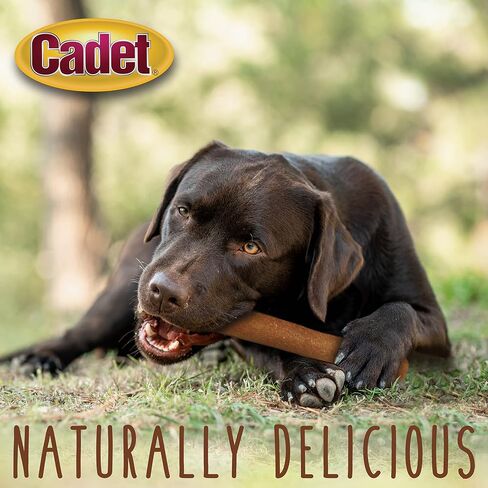 Cadet Gourmet Savory Chicken Rolls Rawhide Alternative Savory Rolls 6 oz. in Saudi Arabia