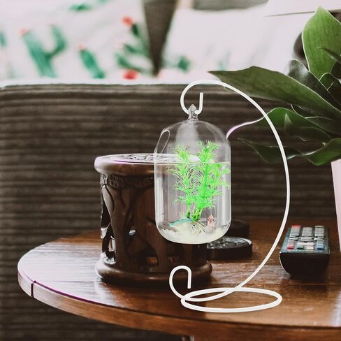 ARTIBETTER 15cm Suspended Transparent Hanging Glass Fish Tank, Infusion Bottle Aquarium Flower Plant Vase Flower Vase for Home Decoration 1pc (Transparent, Including The Glass Bowl) in Saudi Arabia
