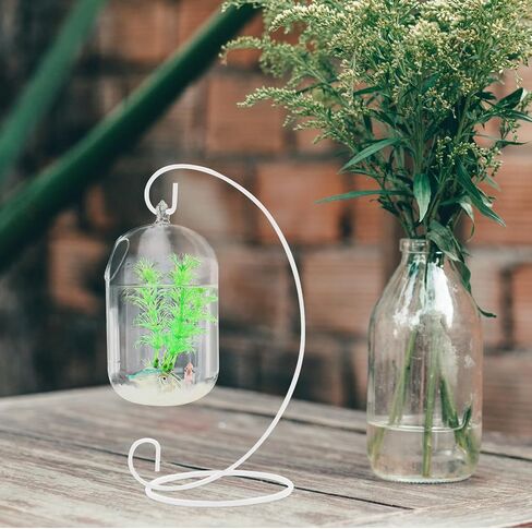 ARTIBETTER 15cm Suspended Transparent Hanging Glass Fish Tank, Infusion Bottle Aquarium Flower Plant Vase Flower Vase for Home Decoration 1pc (Transparent, Including The Glass Bowl) in Saudi Arabia