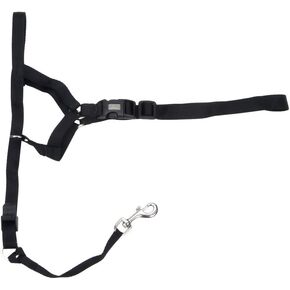 Coastal Pet Walk 'n Train Dog Head Halter - Head Colllar Dog Leader - No-Pull Pet Harness - Quick-Drying Polyester - Black - Medium in Saudi Arabia