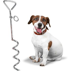 Chrome Dog Stake & Leash Lead Set - 25-Foot Cable, Stainless Steel Heavy-Duty Outdoor Tie-Out for Dogs Play Boundary for Puppies & Adult Dogs