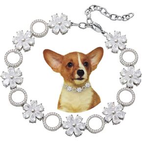 Dog Collars for Small Medium Dogs Dog Chain Collars Iced Out Tennis 5A Cubic Zironia Bling Collar for Puppy Kitty Gold White Collar with Crystal Stones (XSmall /8" (for 7"-8" Dog Neck), Silver2) in Kuwait