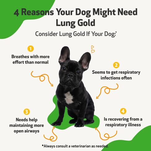Pet Wellbeing Lung Gold للكلاب - تركيبة بيطرية - دعم مناعة الرئة والجهاز التنفسي، خطوط جوية مفتوحة، سهولة التنفس - مكمل عشبي طبيعي 2 أونصة (59 مل) in Kuwait