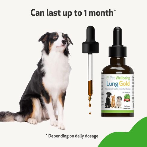 Pet Wellbeing Lung Gold للكلاب - تركيبة بيطرية - دعم مناعة الرئة والجهاز التنفسي، خطوط جوية مفتوحة، سهولة التنفس - مكمل عشبي طبيعي 2 أونصة (59 مل) in Kuwait