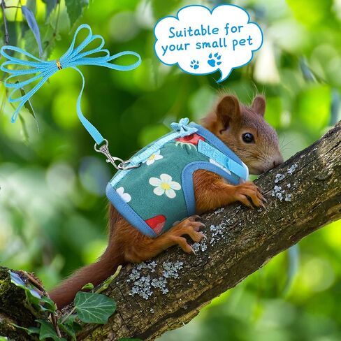 3 Pieces Guinea Pig Harness with Leash Small Pet Harness Fruit Plaid Pattern Adjustable Padded Walking Vest for Pet Hamster Ferret and Squirrel Small Animals (Pineapple, Blue, Green Plaid, Small) in Kuwait