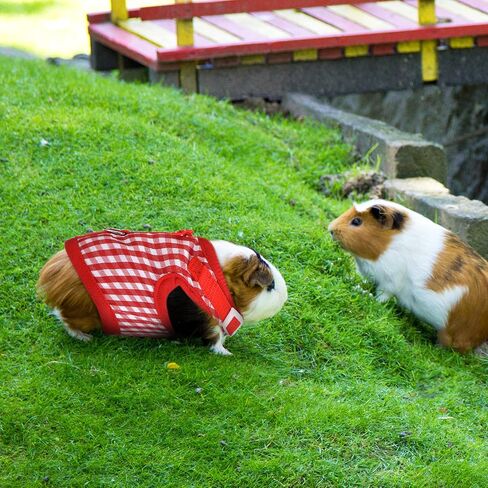 3 Pieces Guinea Pig Harness with Leash Small Pet Harness Fruit Plaid Pattern Adjustable Padded Walking Vest for Pet Hamster Ferret and Squirrel Small Animals (Pineapple, Blue, Green Plaid, Small) in Kuwait
