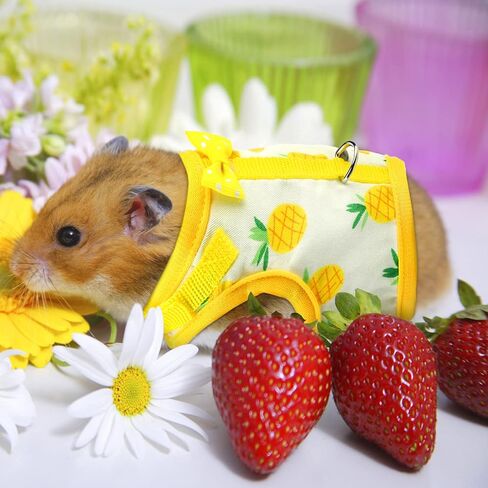 3 Pieces Guinea Pig Harness with Leash Small Pet Harness Fruit Plaid Pattern Adjustable Padded Walking Vest for Pet Hamster Ferret and Squirrel Small Animals (Pineapple, Blue, Green Plaid, Small) in Kuwait