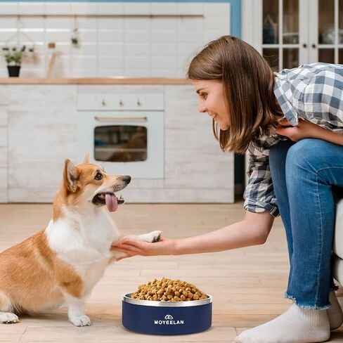 وعاء كلب أزرق كبير من الفولاذ المقاوم للصدأ بسعة 64 أونصة مع قاعدة مضادة للانزلاق، متين ومقاوم للصدأ للاستخدام طويل الأمد؛ يتميز بتصميم عميق وواسع للفم لتناول الطعام والشرب بشكل مريح. in Kuwait