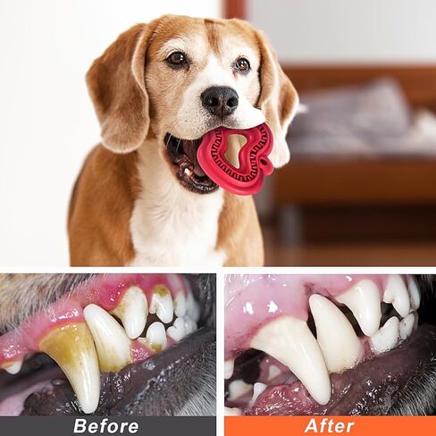 كيه اكس كيه العاب مضغ للجراء للتسنين، العاب تسنين للجراء ذات السلالة الصغيرة والمتوسطة، العاب تسنين الكلاب مع مطاط طبيعي in Kuwait