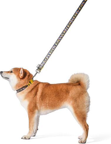 Star Wars for Pets The Mandalorian This is The Way 4 Foot Dog Leash, 48 Inches | Orange 4 Ft Dog Leash Easily Attaches to Any Dog Collar or Harness | Mandalorian Nylon Dog Leash 4 Feet for All Dogs in Saudi Arabia