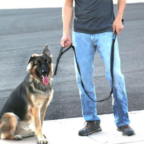Max and Neo Double Handle Traffic Dog Leash Reflective - We Donate a Leash to a Dog Rescue for Every Leash Sold (Black, 4 FT) in Saudi Arabia