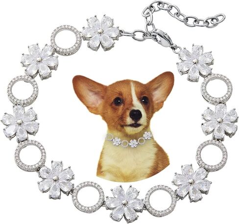 Dog Collars for Small Medium Dogs Dog Chain Collars Iced Out Tennis 5A Cubic Zironia Bling Collar for Puppy Kitty Gold White Collar with Crystal Stones (XSmall /8" (for 7"-8" Dog Neck), Silver2) in Kuwait