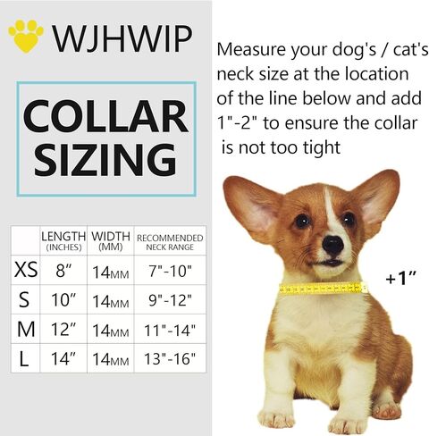 Dog Collars for Small Medium Dogs Dog Chain Collars Iced Out Tennis 5A Cubic Zironia Bling Collar for Puppy Kitty Gold White Collar with Crystal Stones (XSmall /8" (for 7"-8" Dog Neck), Silver2) in Kuwait