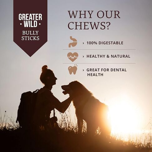 Beef Bully Sticks Dog Treats, 3 6" Sticks - Single Ingredient, All Natural, Long Lasting Dog Chews for Large and Small Dogs - 100% Digestible in Kuwait