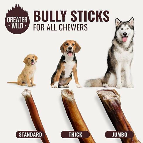 Beef Bully Sticks Dog Treats, 3 6" Sticks - Single Ingredient, All Natural, Long Lasting Dog Chews for Large and Small Dogs - 100% Digestible in Kuwait