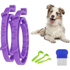 طوق البراغيث الأرجواني للكلاب، عبوتان من طوق البراغيث والقراد مع الزيوت العطرية النباتية، التحكم الطبيعي في القراد والبراغيث للكلاب لمدة 8 أشهر in Kuwait