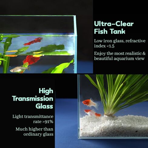 LAQUAL 10 Gallon Ultra Clear Glass Fish Tank, Rimless Low Iron Aquarium for Betta/Nano/Goldfish/Snail/Shrimp, Big Fish Tank & Cover Set & Feeding Ring & Cleaning Tools in Kuwait