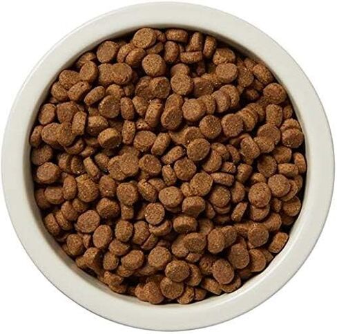 Amazon Brand – Wag Dry Dog Food, Salmon and Brown Rice, 30 lb Bag (Pack of 1) in Saudi Arabia