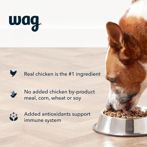 Amazon Brand – Wag Dry Dog Food, Salmon and Brown Rice, 30 lb Bag (Pack of 1) in Saudi Arabia