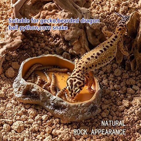 RunXF محاكاة الصخور الزواحف تغذية السلطانيات الراتنج المغذية السحلية الضفدع السلحفاة القنفذ الموائل الملحقات Terrarium خزان زخرفة طبق الطعام المياه، 5.5 × 3.7 × 1.2 بوصة (متوسط) in Saudi Arabia
