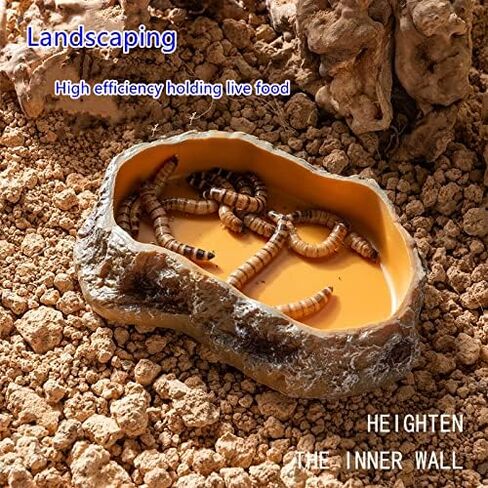 RunXF محاكاة الصخور الزواحف تغذية السلطانيات الراتنج المغذية السحلية الضفدع السلحفاة القنفذ الموائل الملحقات Terrarium خزان زخرفة طبق الطعام المياه، 5.5 × 3.7 × 1.2 بوصة (متوسط) in Saudi Arabia