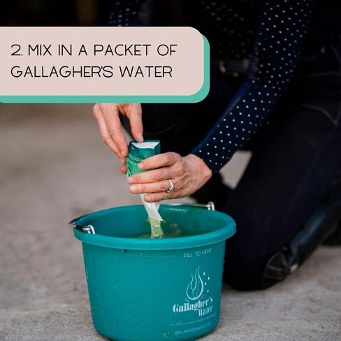علاج ترطيب الخيول الطبيعي بالكامل من GALLAGHER'S - مزيج مسحوق معزز لعلاج مشروب الحصان للمساعدة في التشجيع على شرب الماء - مصنوع من مكونات طبيعية بالكامل، متوافق مع FEI، عبوتان in Kuwait