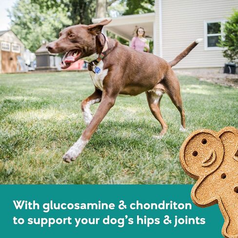 Buddy Biscuits Boosters, Soft & Chewy Dog Treats with Glucosamine & Chondroitin for Happy Hips, Chicken 5 oz. in Kuwait
