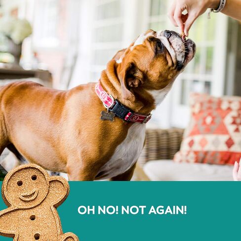 Buddy Biscuits Boosters, Soft & Chewy Dog Treats with Glucosamine & Chondroitin for Happy Hips, Chicken 5 oz. in Kuwait