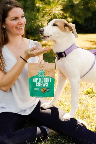 Buddy Biscuits Boosters, Soft & Chewy Dog Treats with Glucosamine & Chondroitin for Happy Hips, Chicken 5 oz. in Kuwait