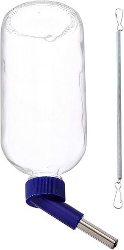 Lixit Glass Water Bottles for Small Animals and Birds (16oz Pack of 2) in Saudi Arabia