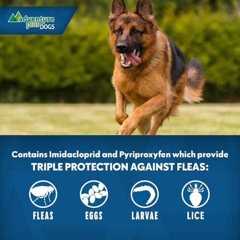 Adventure Plus Triple Flea Protection for Dogs – Spot on Flea & Tick Prevention for Dogs – For Extra Large Dogs 55+lbs – 4 Doses in Saudi Arabia