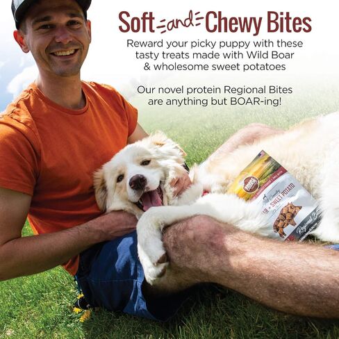 All Natural Dog Treats - Duck & Squash - Training Treats for Dogs with Allergies or Sensitive Stomachs - Soft Dog Treats, Grain Free Dog Treats, Chewy, Human-Grade, Made in USA - 5oz Bag in Kuwait