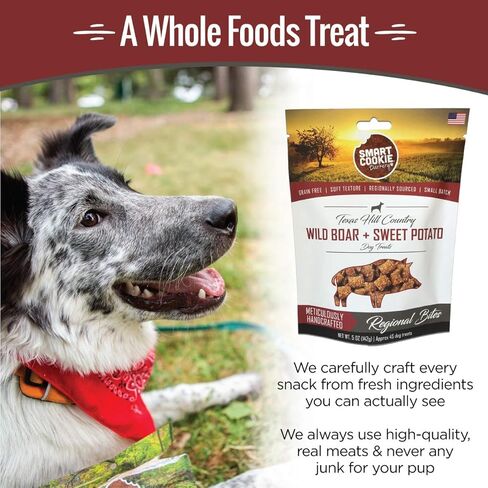 All Natural Dog Treats - Duck & Squash - Training Treats for Dogs with Allergies or Sensitive Stomachs - Soft Dog Treats, Grain Free Dog Treats, Chewy, Human-Grade, Made in USA - 5oz Bag in Kuwait
