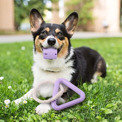 مجموعة ألعاب كرة الكلب وحبل شد الحبل من KuddelMuddel، كرة تنس دعابة للمضغ لا تصدر أصواتًا داخل قفص مطاطي ولعبة حبل قطني مثلث للحيوانات الأليفة الصغيرة والمتوسطة والكبيرة (عبوة من قطعتين) in Kuwait