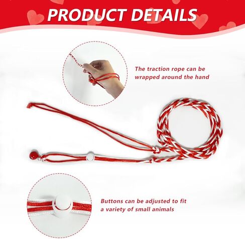 شنطة محمولة لحمل الهامستر والخنزير الغيني، شنطة سفر بنمط قلب للحيوانات الصغيرة في الهواء الطلق مع حزام للقنافذ والهامستر والشنشيلة والسناجب الشراعية، هدية لمحبي الحيوانات in Kuwait