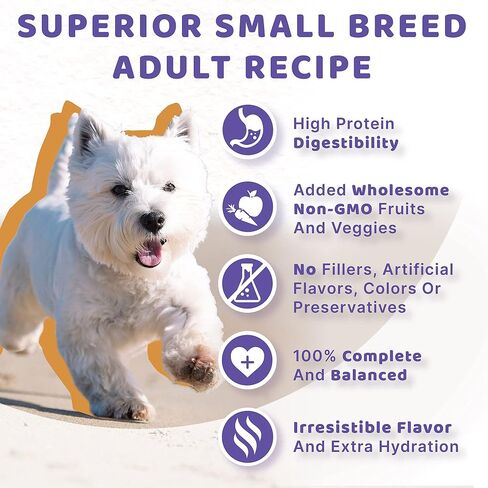 Halo Wet Dog Food For Small Dogs, Grain Free, Chicken & Salmon 5.5 Ounce (Pack of 12) in Saudi Arabia