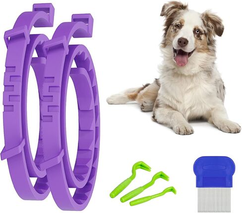 طوق البراغيث الأرجواني للكلاب، عبوتان من طوق البراغيث والقراد مع الزيوت العطرية النباتية، التحكم الطبيعي في القراد والبراغيث للكلاب لمدة 8 أشهر in Kuwait