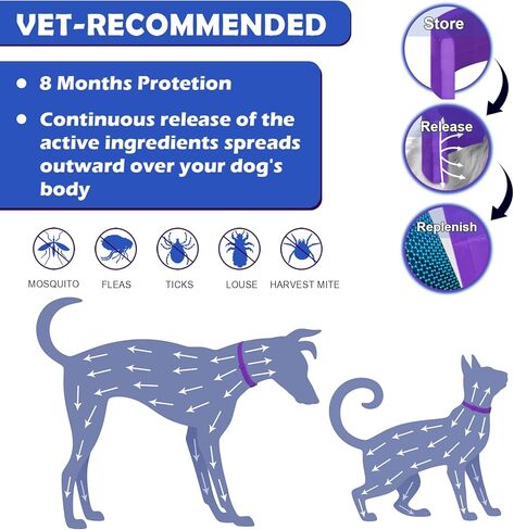 طوق البراغيث الأرجواني للكلاب، عبوتان من طوق البراغيث والقراد مع الزيوت العطرية النباتية، التحكم الطبيعي في القراد والبراغيث للكلاب لمدة 8 أشهر in Kuwait