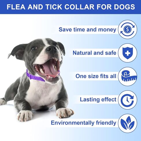 طوق البراغيث الأرجواني للكلاب، عبوتان من طوق البراغيث والقراد مع الزيوت العطرية النباتية، التحكم الطبيعي في القراد والبراغيث للكلاب لمدة 8 أشهر in Kuwait