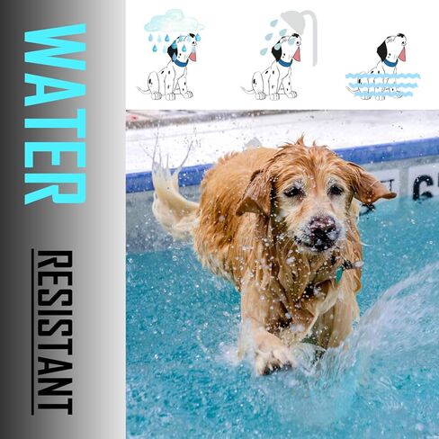 Flea and Tick Collar for Large Dog, Repels Fleas & Ticks, Natural Essential Oils, 8-Month Protection, Adjustable & Waterproof, for Dogs Over 18 lbs, 2 Packs in Kuwait