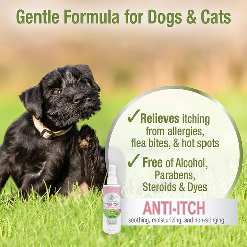 Four Paws Healthy Promise Pet Aid Fast-Acting Anti Itch Spray for Dogs & Cats 8 Oz. in Saudi Arabia