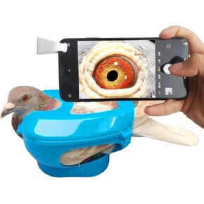 بيجين آي بيجين هيلث بيجين بيديجري راسينج بيجون in Kuwait