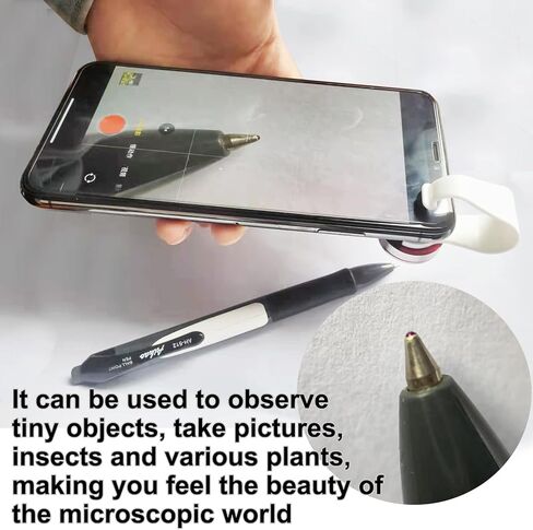 بيجين آي بيجين هيلث بيجين بيديجري راسينج بيجون in Kuwait